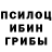 Псилоцибиновые грибы ЛСД glebus666