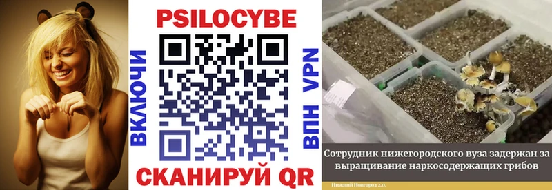 Псилоцибиновые грибы MAGIC MUSHROOMS Шиханы